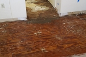 fort walton beach hardwood floors