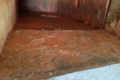 carpet cleanig niceville