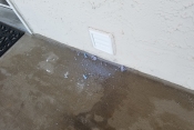 carpet cleaning in niceville