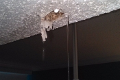 water restoration service in fort walton beach