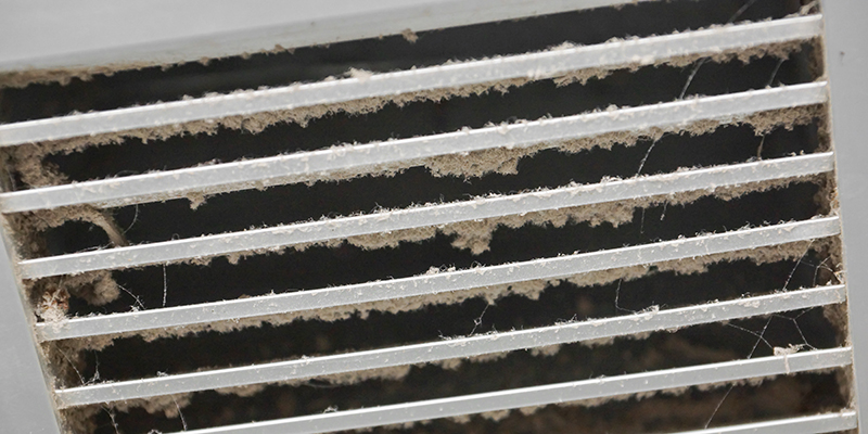 Five Types of Mold Commonly Found in Your Home's Air Ducts
